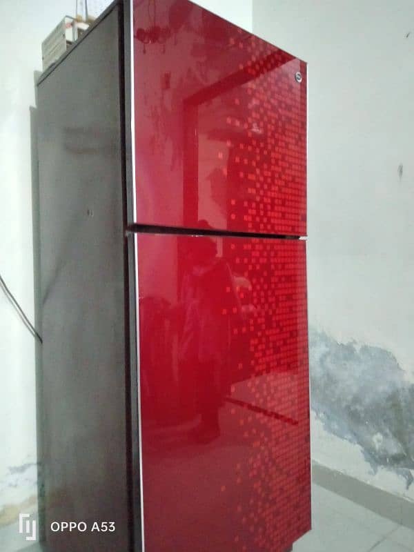 Pel glass door . 1