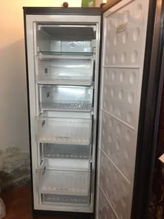 standing freezer