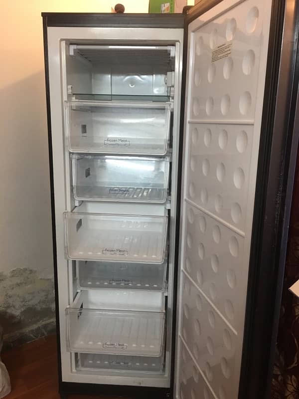 standing freezer 0