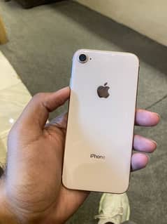 iphone 8 pta