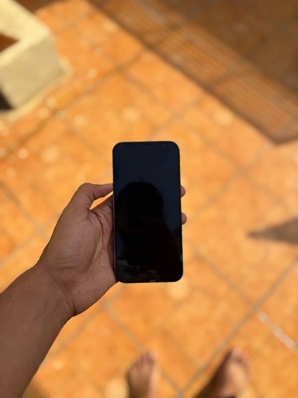 Iphone 12 Pro Max 256 Gb 7