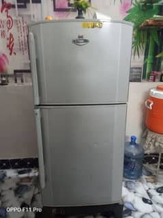 higher fridge