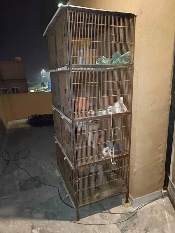 Birds Cage 3