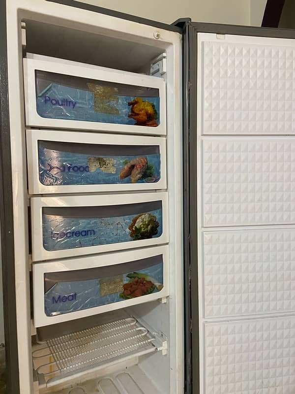 Dawlence vertical freezer 2