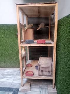 "Healthy Cocktail Pair with Cage – Active & Beautiful Birds for Sale!"