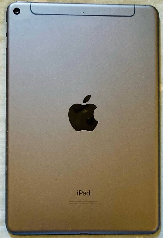 ipad mini 5 1