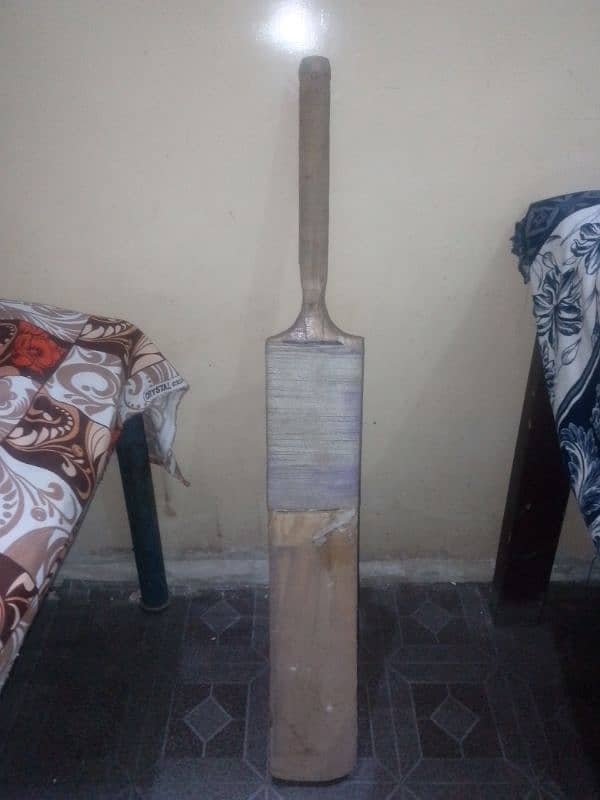 cricket bat 0