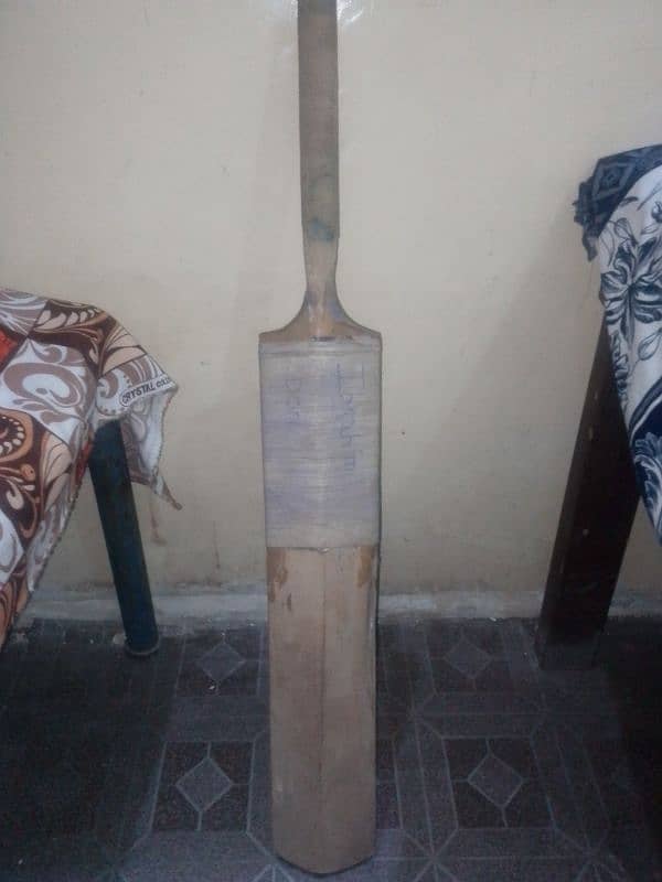 cricket bat 1