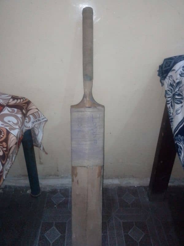 cricket bat 4