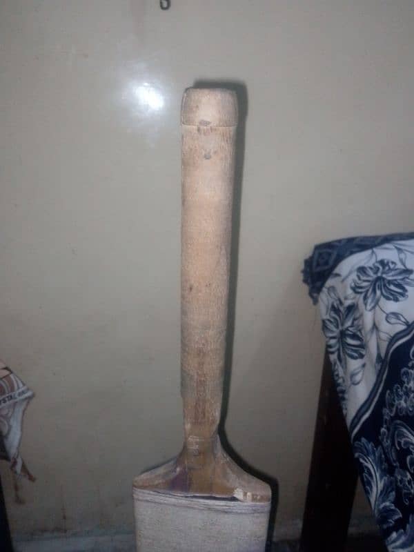 cricket bat 6