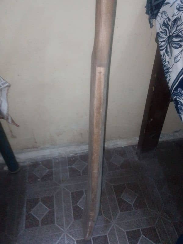 cricket bat 1