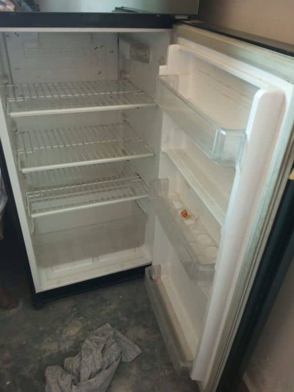 Pel Fridge 3