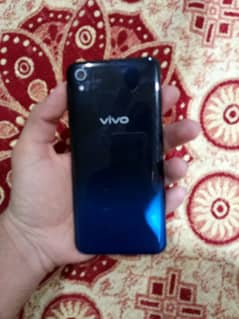 vivo