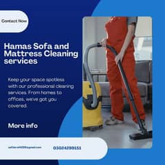 Sofa or Carpet cleaning services