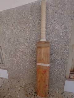 cricket  bat