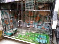 6 Bird Cages with 12 Pairs of Doves & 1 Pair of Java Sparrows