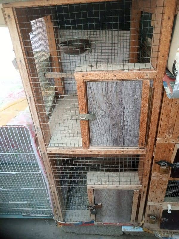 6 Bird Cages with 12 Pairs of Doves & 1 Pair of Java Sparrows 3