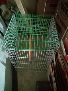 cage, jali for raw parrot