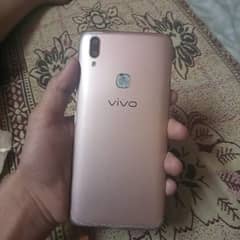 vivo