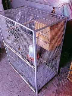 parrot & Hen cages