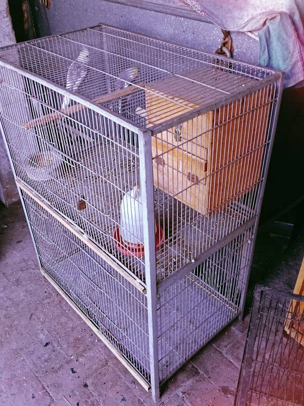 parrot & Hen cages 0