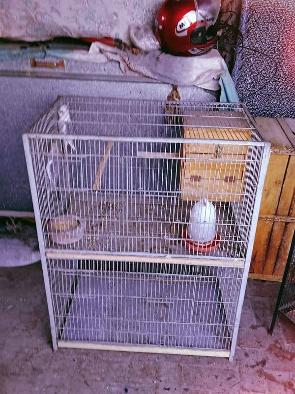 parrot & Hen cages 2