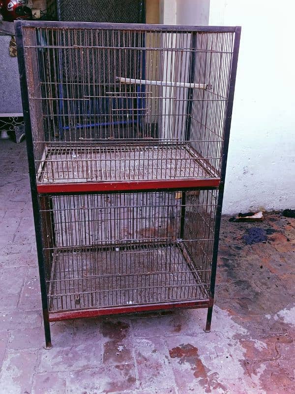 parrot & Hen cages 4