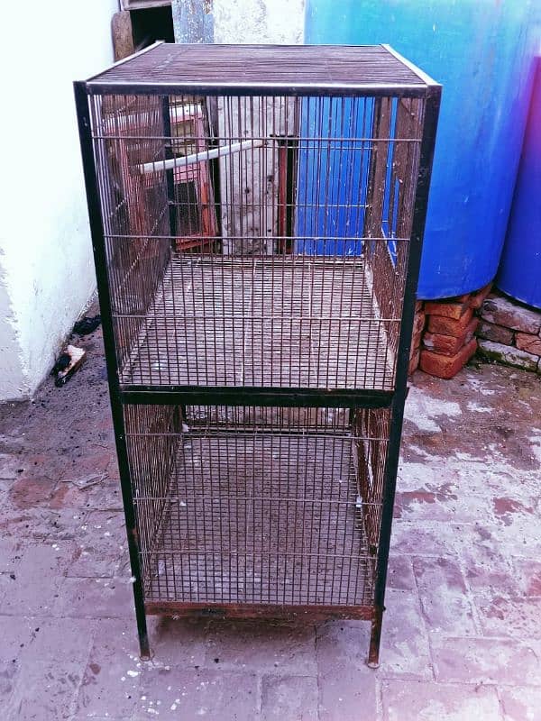 parrot & Hen cages 5