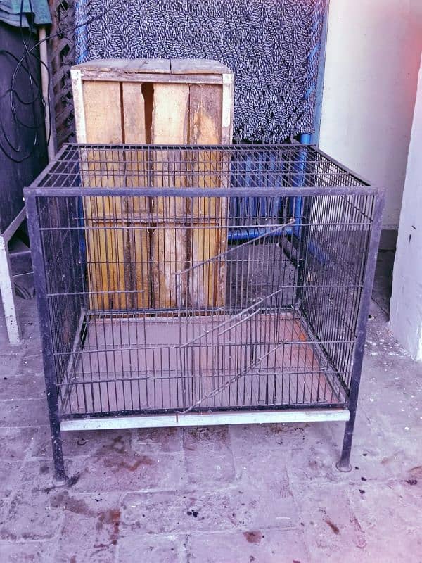 parrot & Hen cages 6