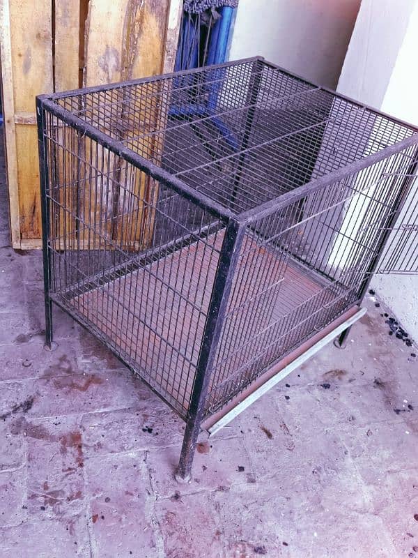 parrot & Hen cages 7