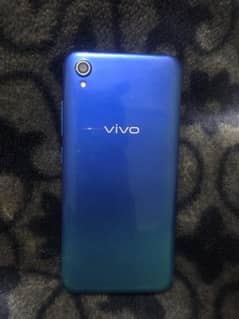 vivo