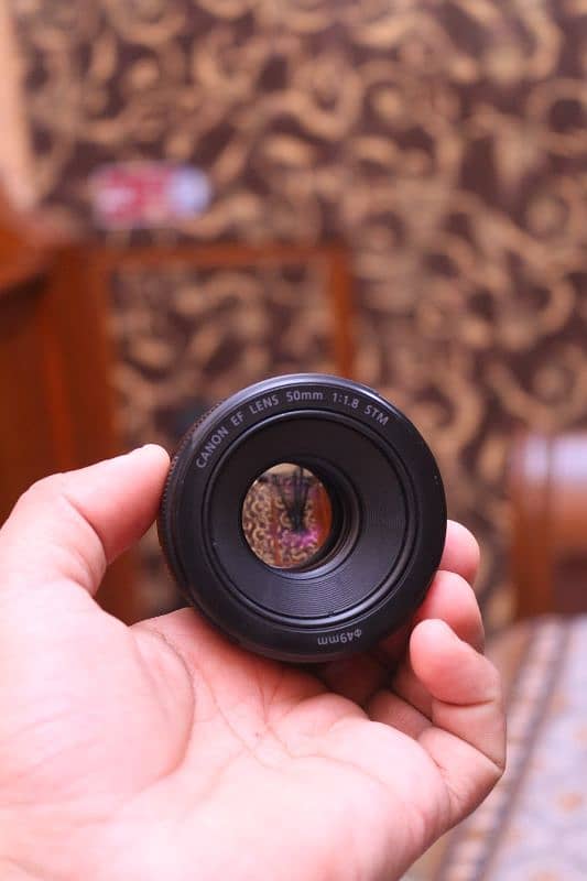 Canon 50mm STM F1.8 2