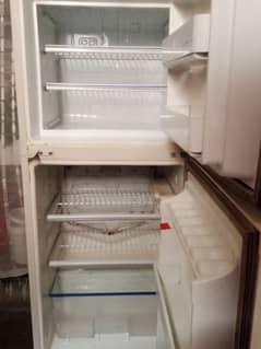 medium fridge (Dawlance)