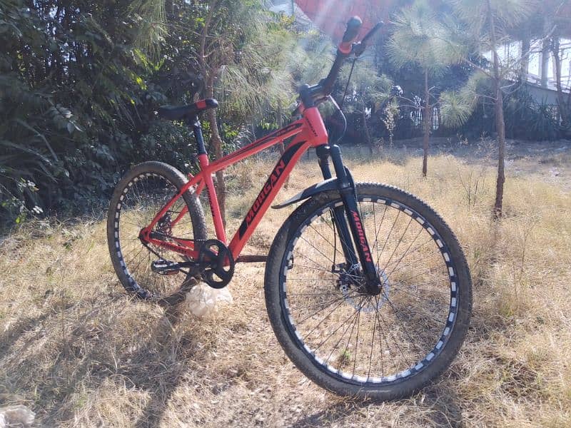 Morgan Mountain Bike – Excellent Condition | Best Deal 1