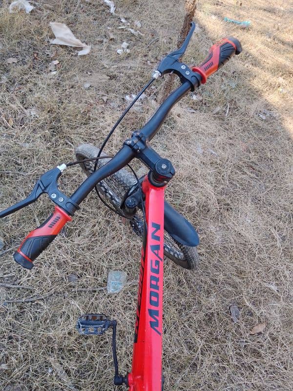 Morgan Mountain Bike – Excellent Condition | Best Deal 5