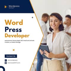 Word press developer