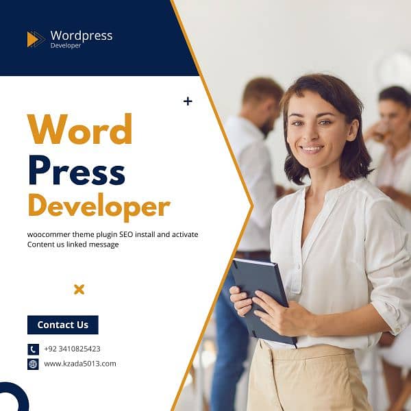 Word press developer 0