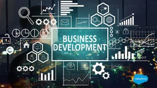 Business Development Remote Job