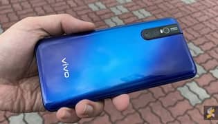 vivo