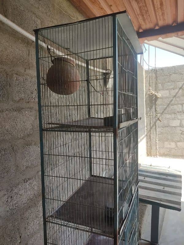 Birds Cage 0