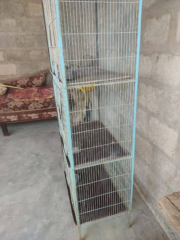 Birds Cage 2