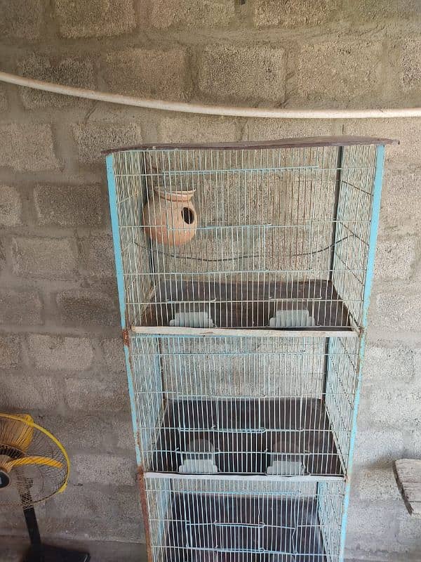 Birds Cage 3