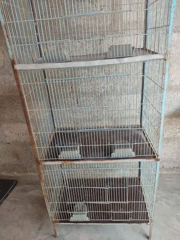 Birds Cage 6