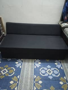 MASTER MOLTY FOAM SOFA CUM BED DOUBLE