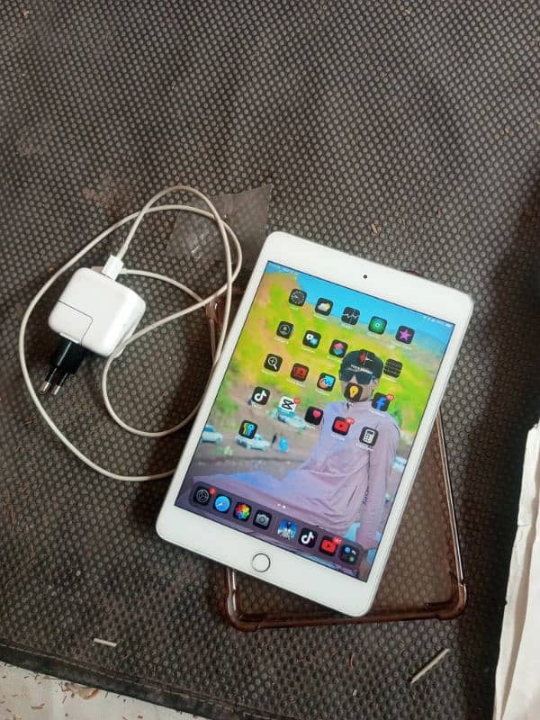 iPad mini 5 1