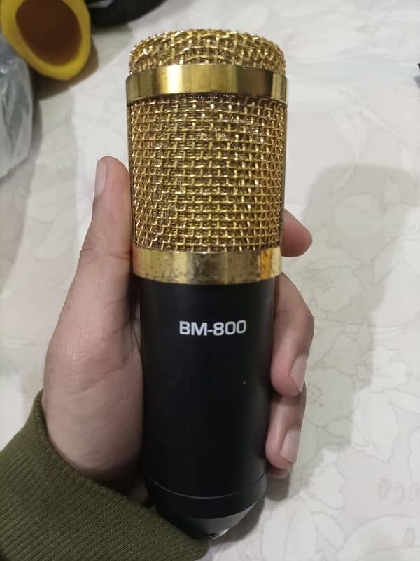 Bm 800 studio microphone 1