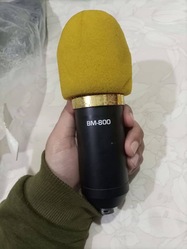 Bm 800 studio microphone 2