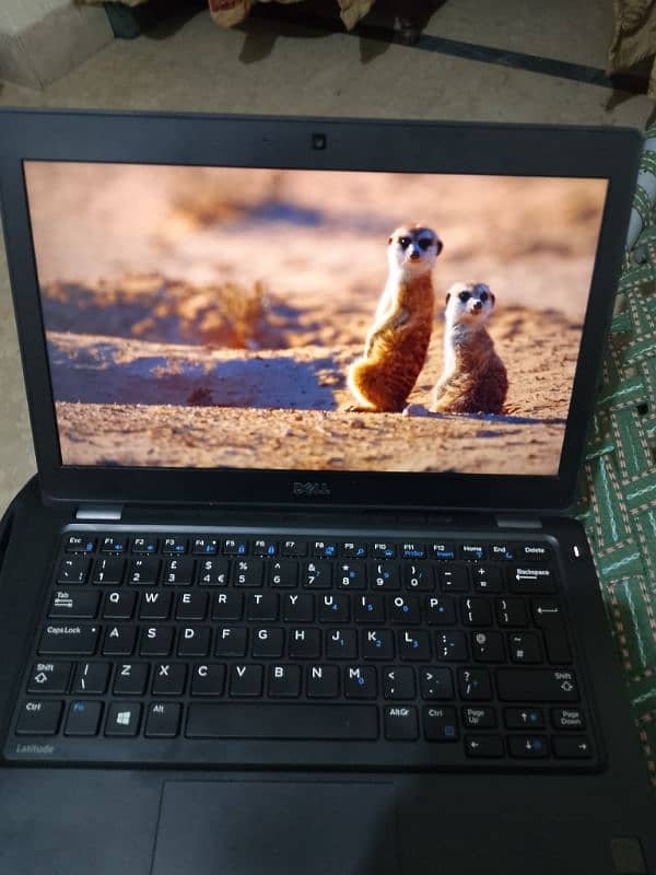 dell latitude 5250 5