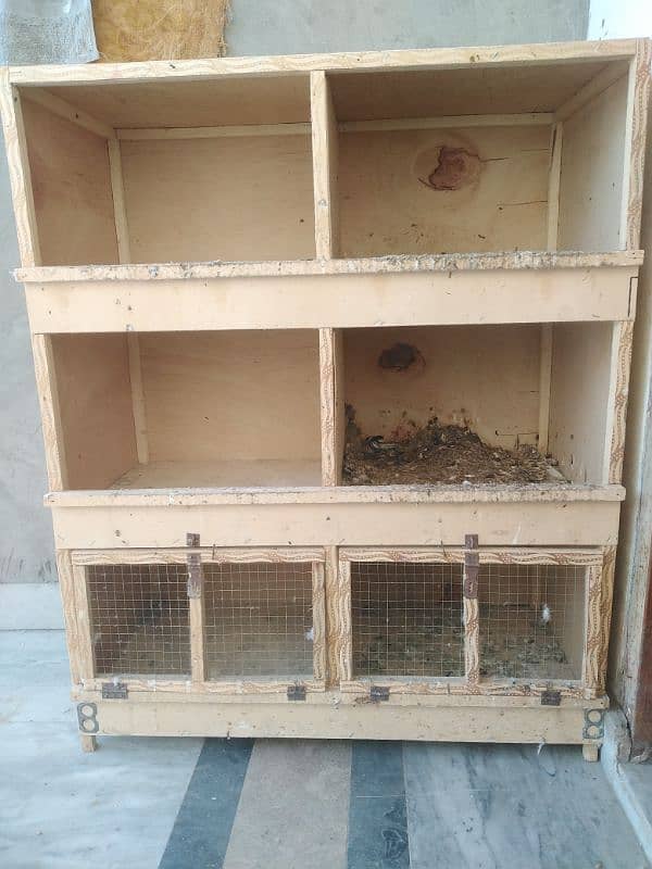 breeder pigeons for sale plz read full add then contact 11