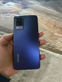 vivo